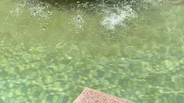 spectacular fountain