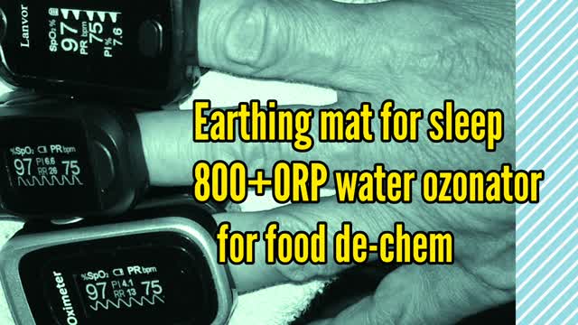 Best Perf-Boosting Foods