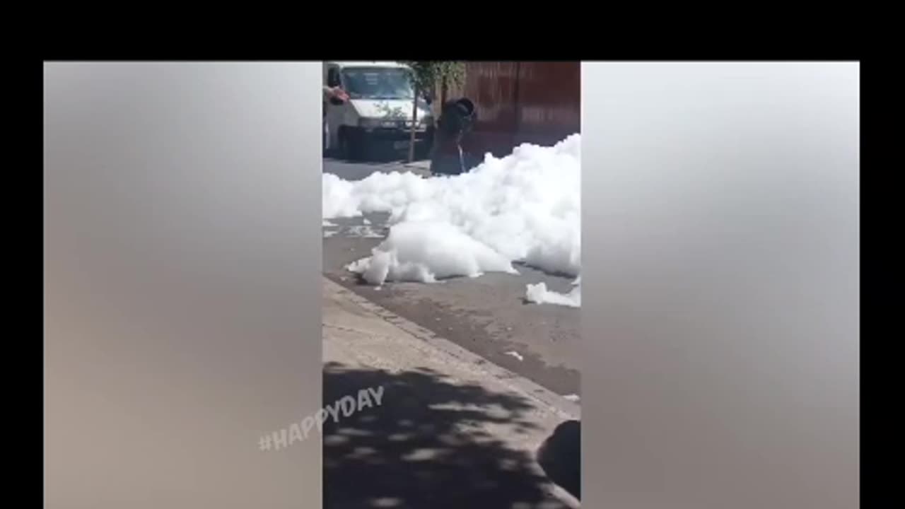 Котики