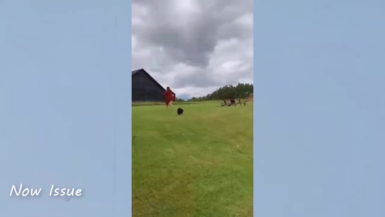 Not to Laugh Challenge_Ignored Compilation _Fails 2024_Now Issued