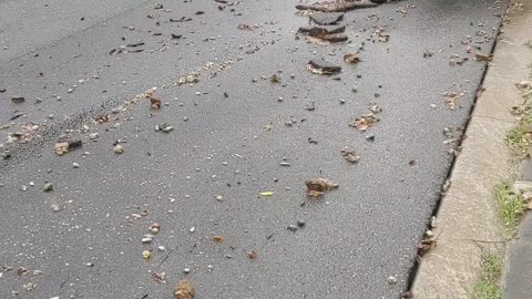 Heavy Rainfall Rips up Street Surface