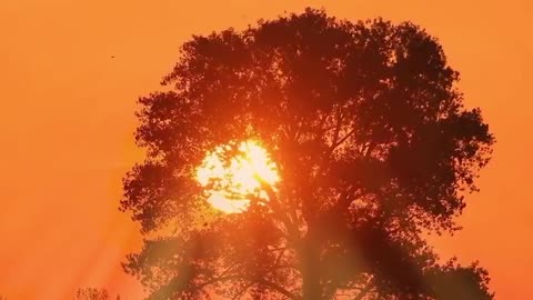 At sunset, heartbroken people are at the end of the world