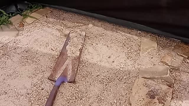 Using a camping gazebo for planting