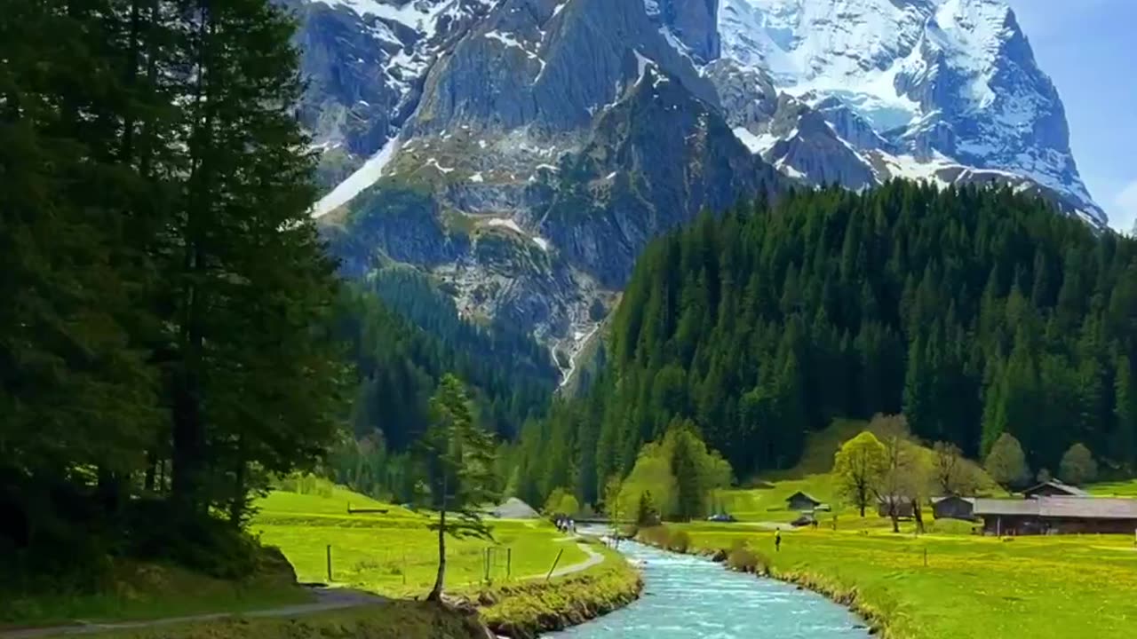 Switzerland🇨🇭🌲🏔️😍