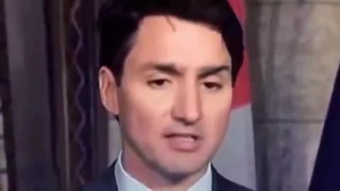 What's up with Trudeau's Eyebrows?