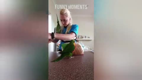 Funny Parrots - Parrot Talking Videos /Funny Moments