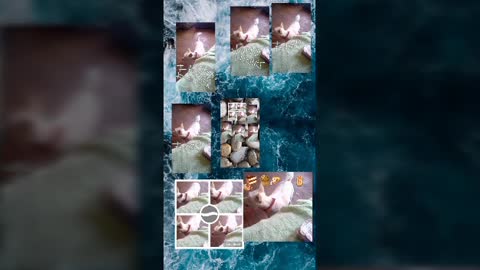 today video