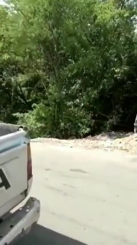 Meanwhile in Brazil 😂😂😂😂😂😂😂😂