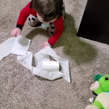 Toddler gets caught toilet papering his room.
