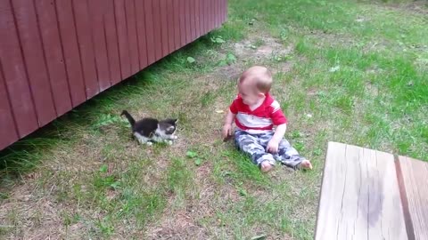 Baby And Cats Video Funny