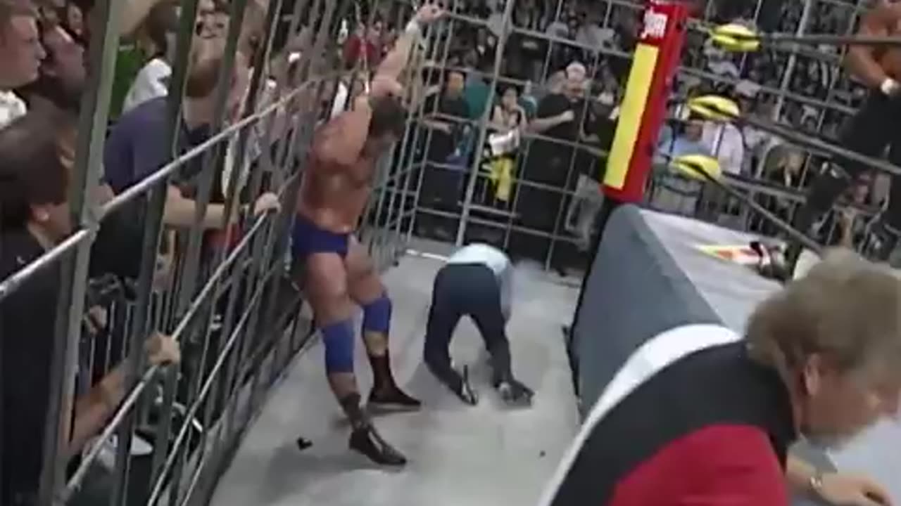 Hogan & Savage beat up a fan