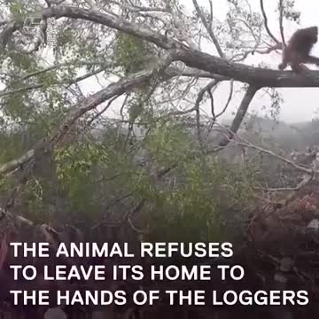 Governments are blaming you for climate change