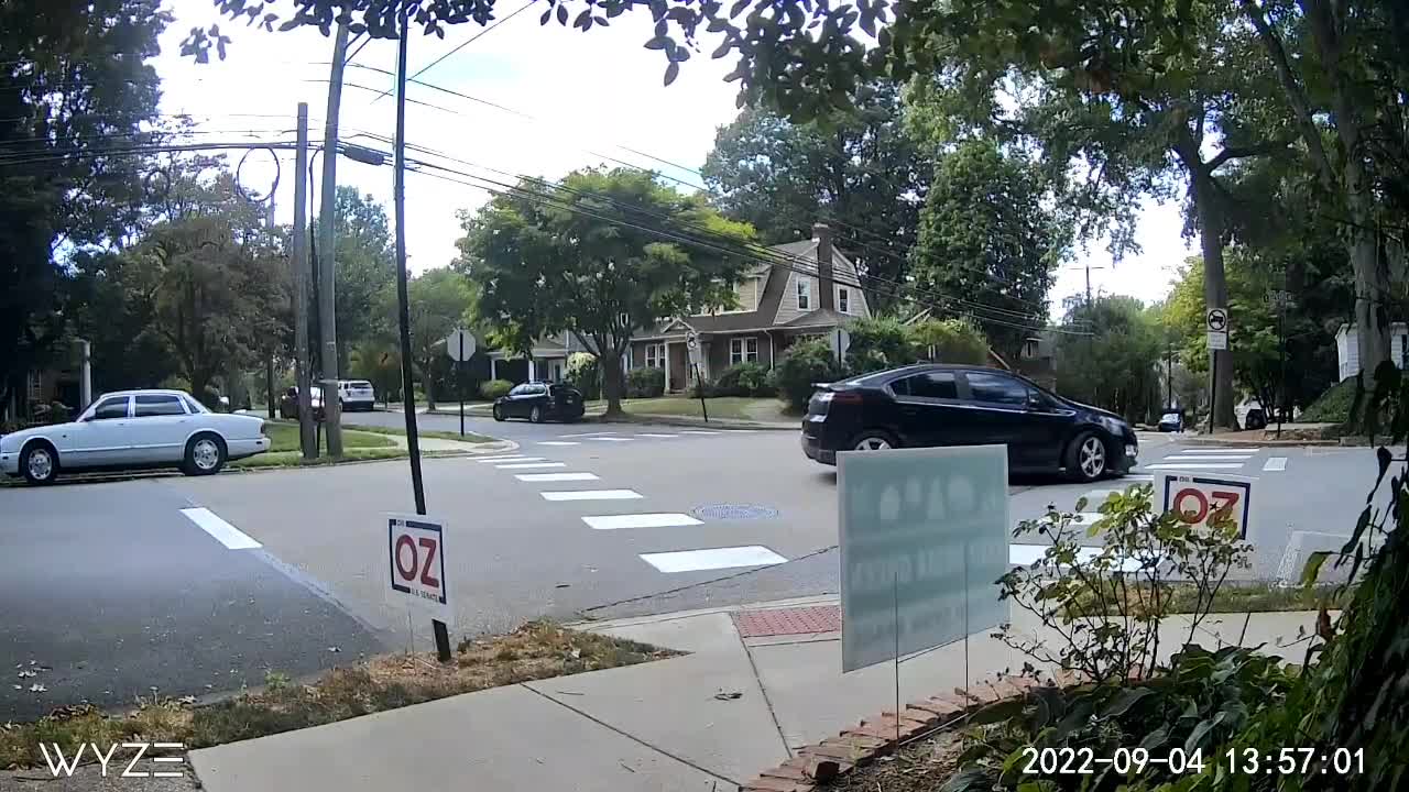 Report them. Seen stealing Oz signs from the street.