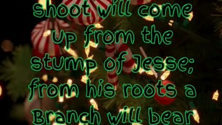 🎄 Countdown to Christmas: Day 13 - A Hopeful Beginning 🎄