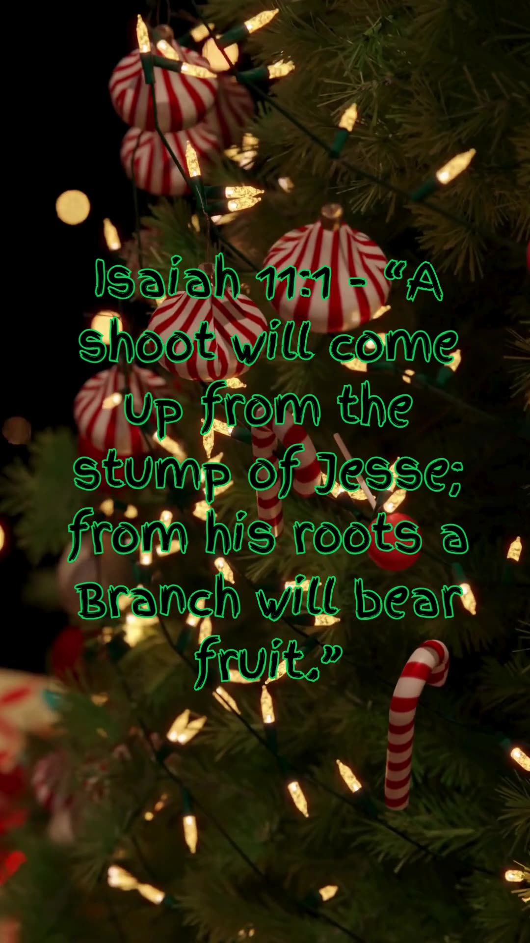 🎄 Countdown to Christmas: Day 13 - A Hopeful Beginning 🎄