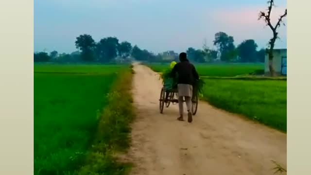 Funy video😉😉😉😉😉😉