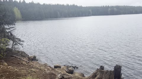 Shoreline Hiking Around Timothy Lake – Mount Hood National Forest – Oregon – 4K