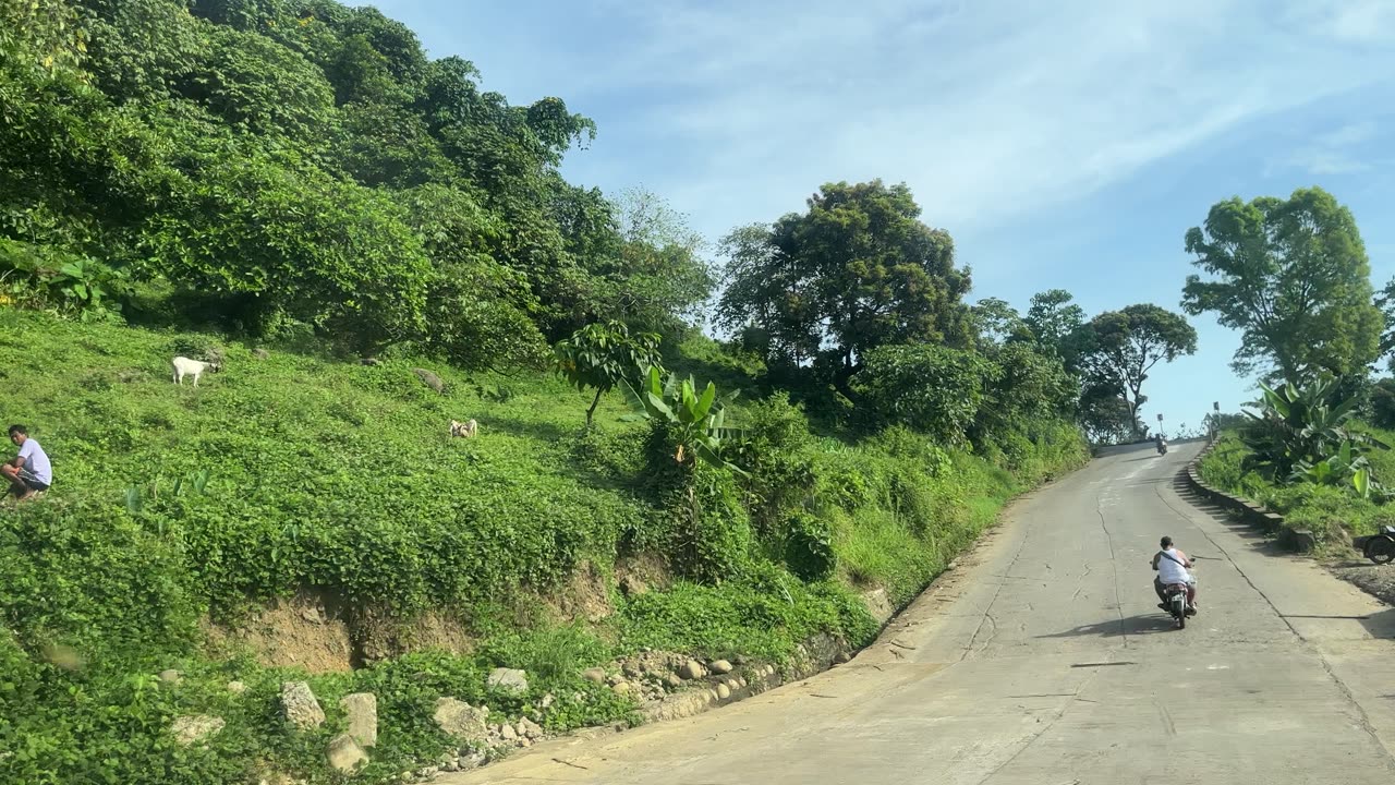 Enjoying the view going up to the mountains