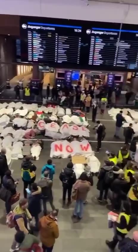 Demonstration demanding Gaze ceasefire in Oslo