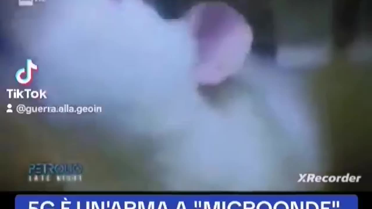 IL 5G NON È ALTRO CHE UN'ARMA MILITARE A MICROONDE INVENTATA DAI SOVIETICI