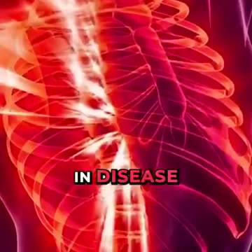 Sugar is Primary Fuel for Cancer