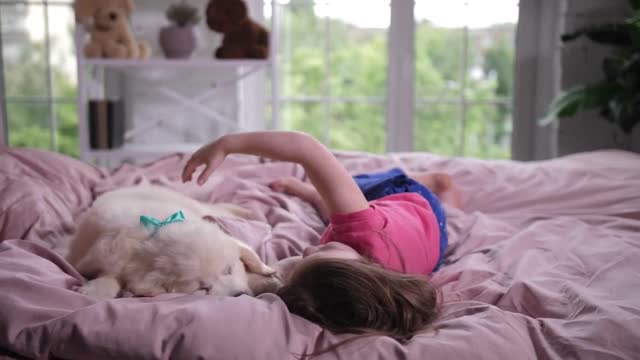 Adorable preschooler child spending morning lying on cozy bed