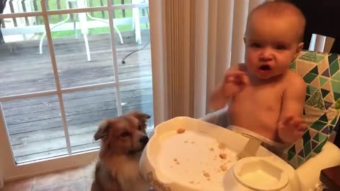 Cute baby playing with funny animals