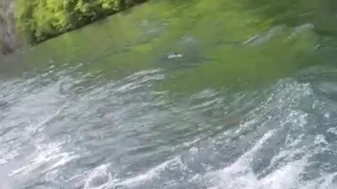 I love this video