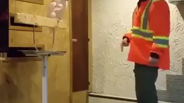 A great anger to a parrot because of s smashing