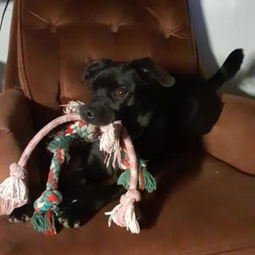 You have all the ropes! Learn to share!