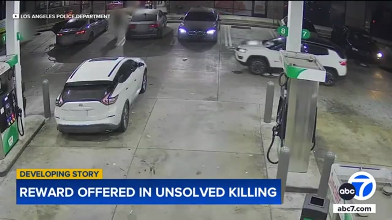 Surveillance video shows man gunned down at LA gas station