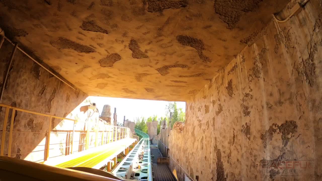 Cheetah Hunt POV