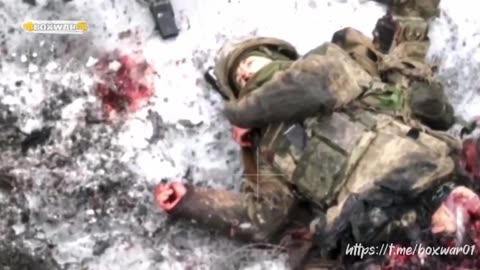 ‼️🇷🇺💥This video shows the Ukrainians who decided to launch a counterattack.