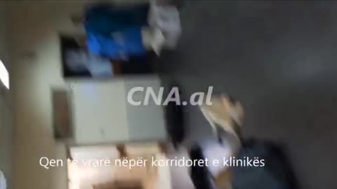Qente ne klinikat veterinare te bashkise se Tiranes