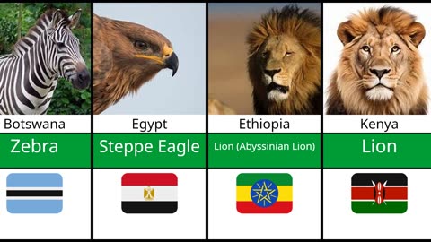 National Animals of African Countries You Should Know