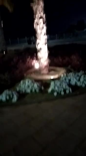 iPhone 6s plus Mobile Video Clip