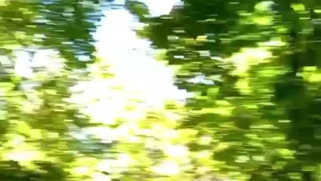 ΝΤΟΝΕΤΣΚ