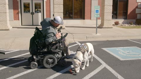 K9s 4 Mobility Promotional Video