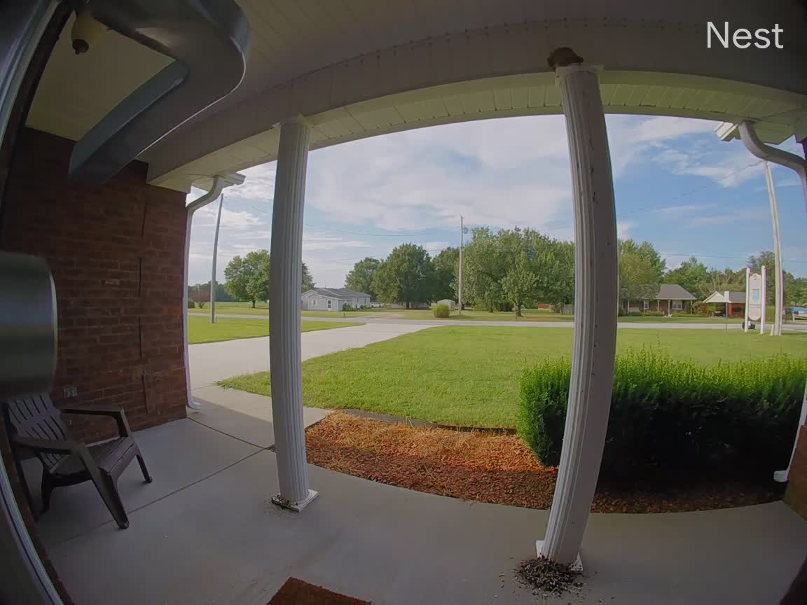 Hawk Flies Straight Into House