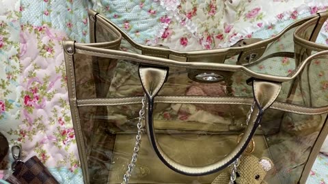 What's in my Clear Dasein Gold Tote from Amazon + a Shout-Out.