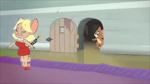 Tom & Jerry : The Best Classic Episode