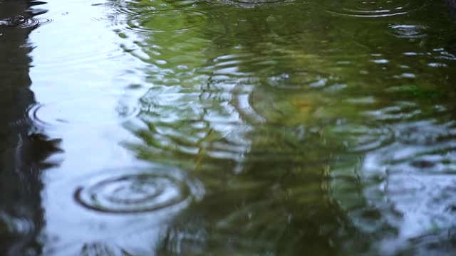 Rain falling on the water of a lake seen up close