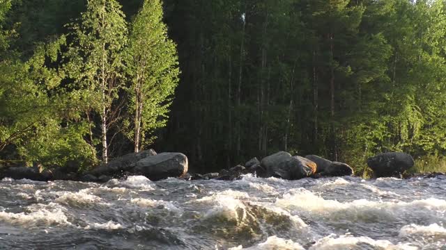 River water sound in forest