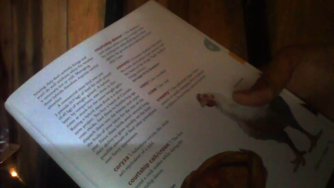 The Chicken Encyclopedia pages 74-75
