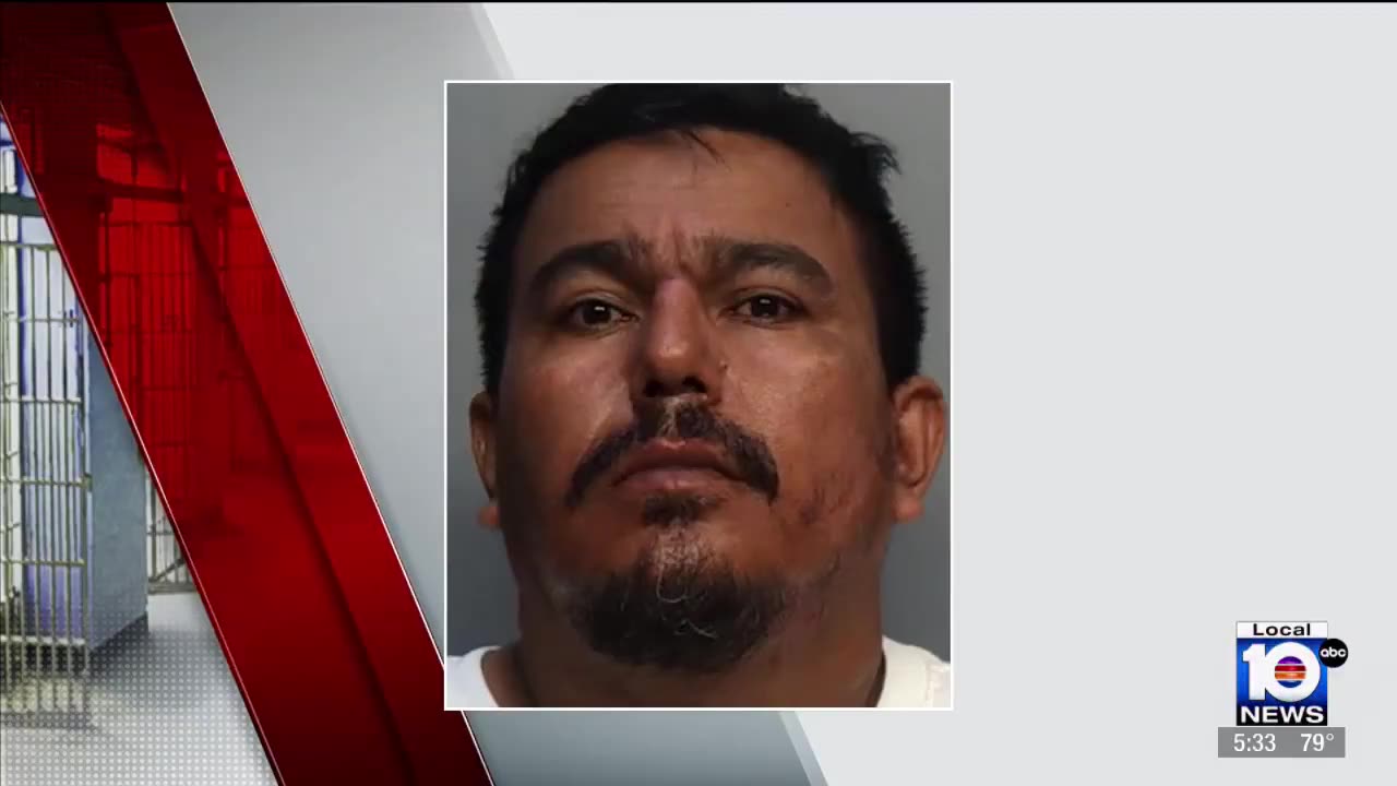 An illegal from Nicaragua has been arrested in Florida after assaulting 80-year-old landlord