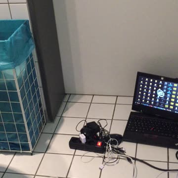 10 YEARS AS I AM HUNTED BY ANIMALS IN CANADA GERMANY SCOTLAND HAVE TO SLEEP IN TOILETS