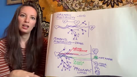 Mirror|Desert Dakini|Understanding Dissociation Part 3- The system: Where do alters live?