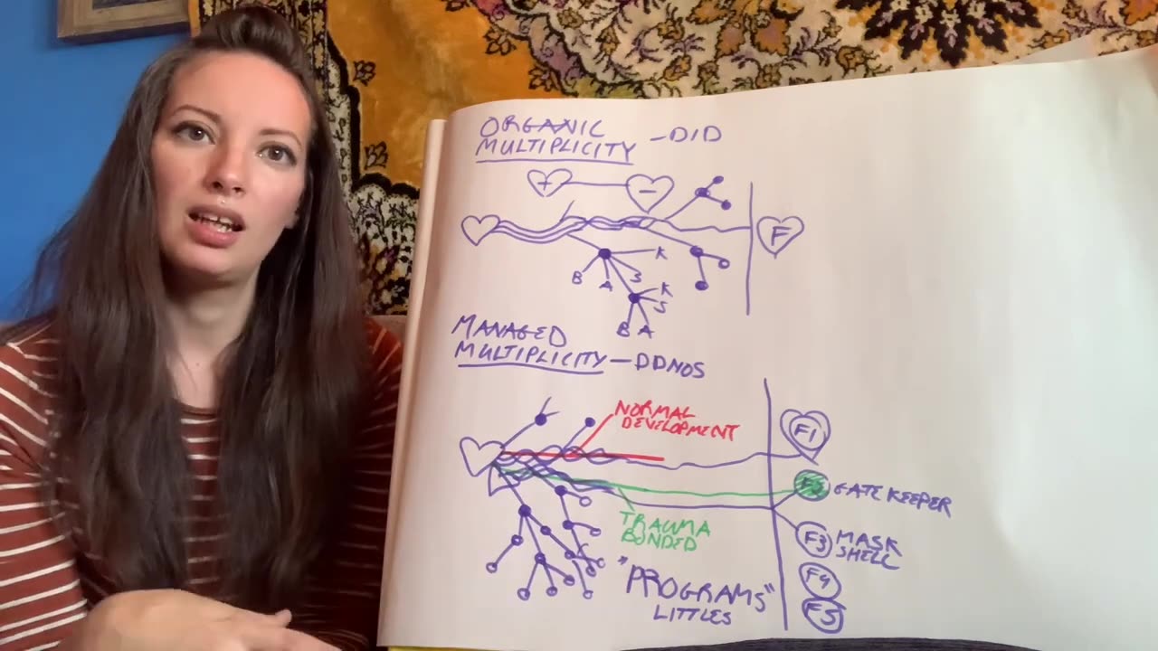 Mirror|Desert Dakini|Understanding Dissociation Part 3- The system: Where do alters live?