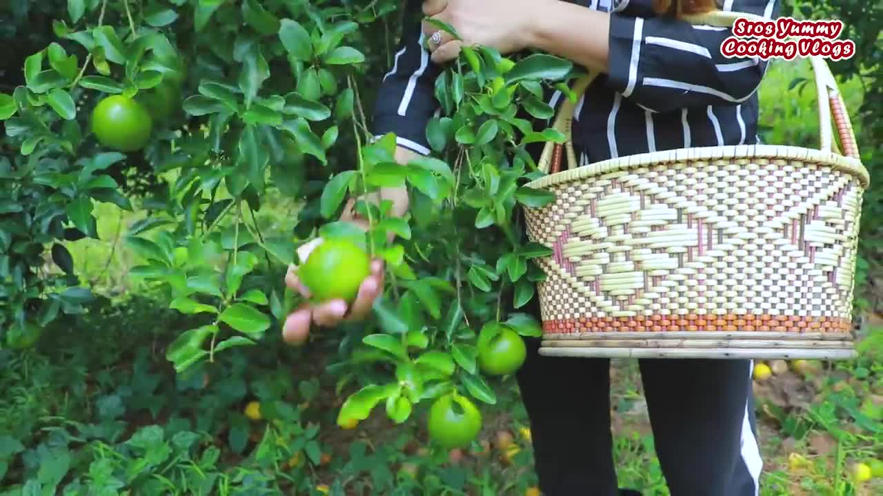 Picking some orange in the forest _ Natural orange fruit eating _ Food cooking