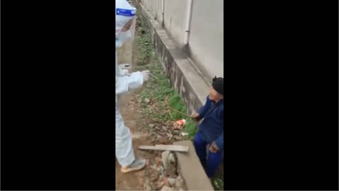 Elderly Chinese woman beats back CCP Covid enforcer w/ stick